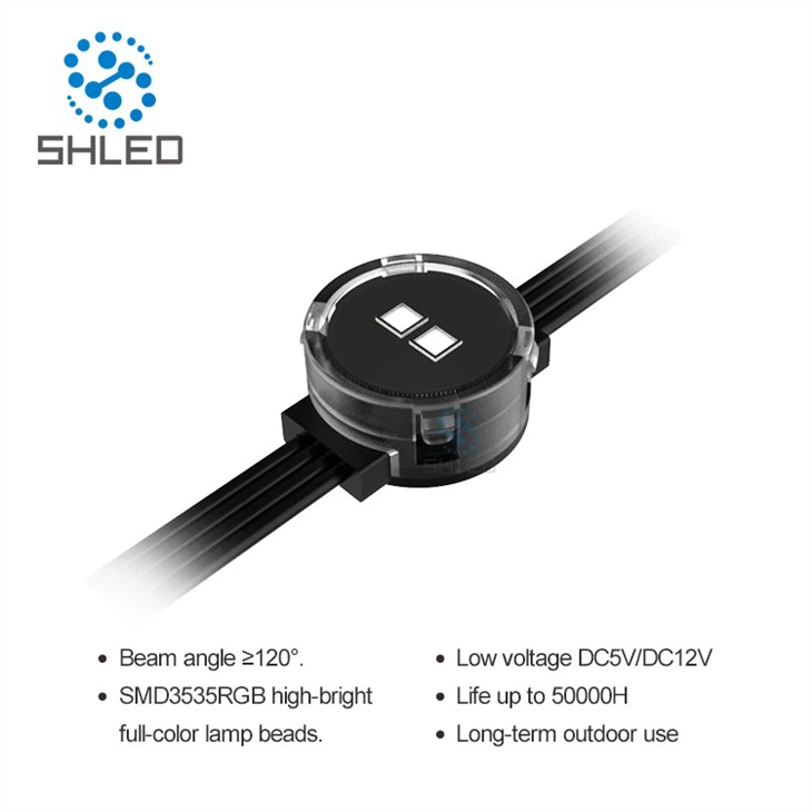 2Leds Waterproof Rgb Led Point Pixel Teeb